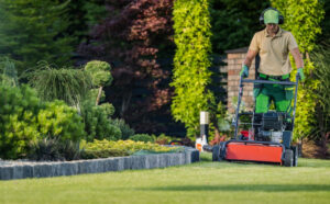 what is lawn mower mulching