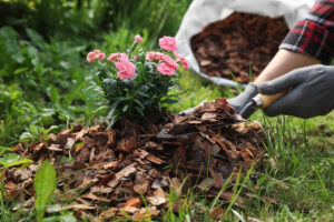 bagged mulch